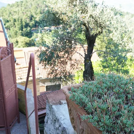 La Culla Casa vacanze Stazzema